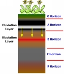 Soil_horizon_layers.jpg
