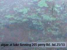 July-25th-2013-Lake-Fanning1s.jpg