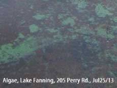 July-25th-2013-Lake-Fanning2s.jpg