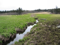 i0010.jpg