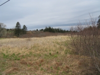 k0021.jpg