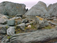 Basalt2.jpg