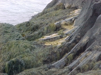 Erosion.jpg