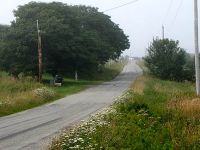 r44.jpg