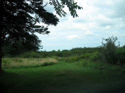 comeau's_hill-0027.jpg
