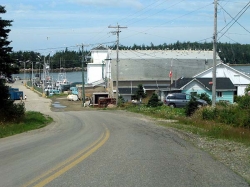 little_river_harbour_photo-0051.jpg