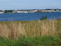 ov0070.jpg
