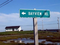 ov0131.jpg