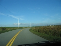 pembroke-0005.JPG