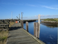 pembroke-0014.JPG