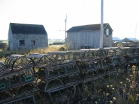 pembroke-0019.JPG
