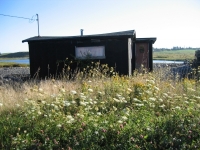 pembroke-0024.JPG