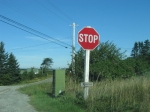 t_pub-0176.jpg