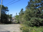 t_pub-0181.jpg