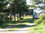 t_pub-0377.jpg