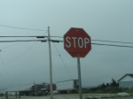 t_pub-0824.jpg