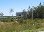 t_pub-1116.jpg