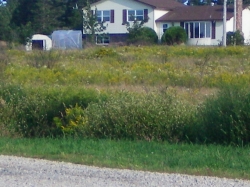 Nov-08-001.JPG