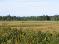 sar-0004.JPG