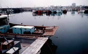 Wedgeport harbour
